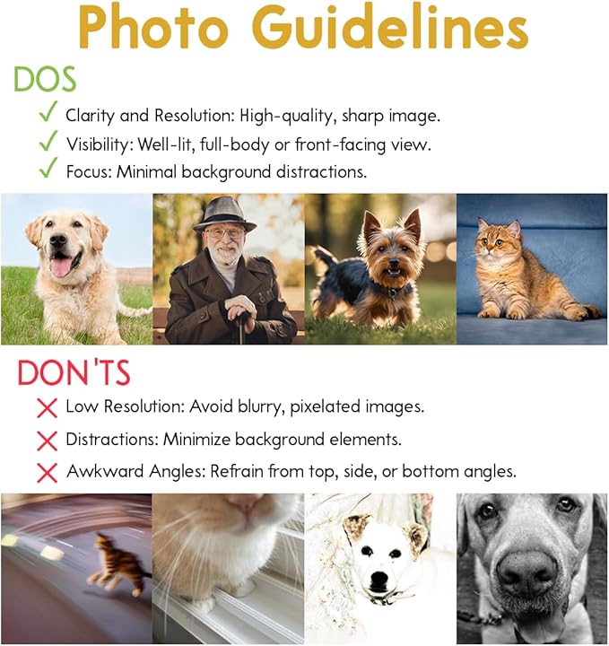 Custom Memorial Stones for Cat