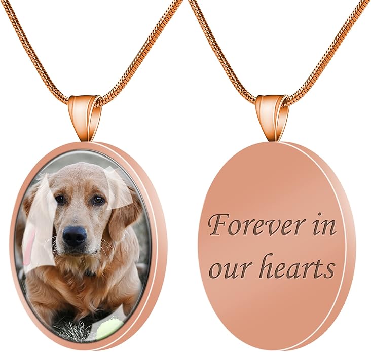 Farfume Personalized Pet Urn Necklace