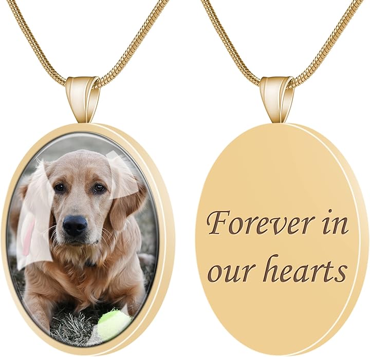 Farfume Personalized Pet Urn Necklace